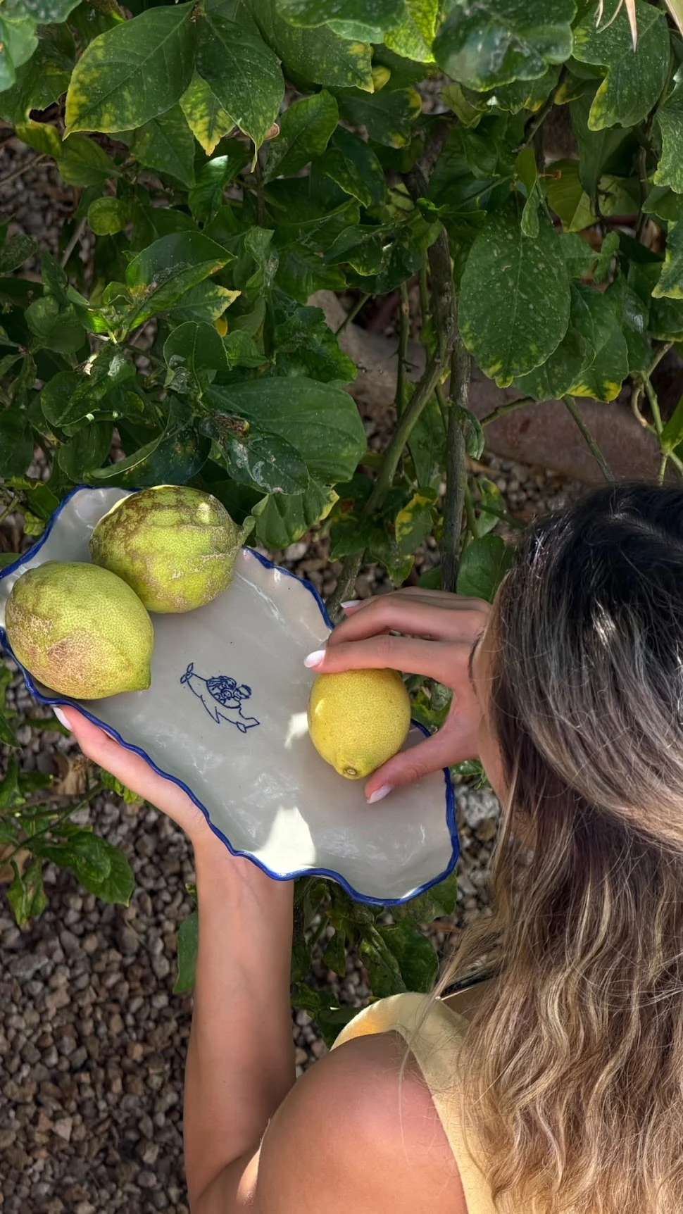 Platter held beside a lemon tree